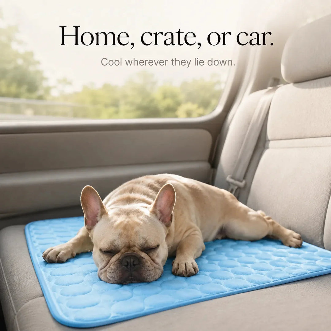 Coolabee – Cooling Mat for Dogs &amp; Cats, No-Freeze Washable Pet Pad
