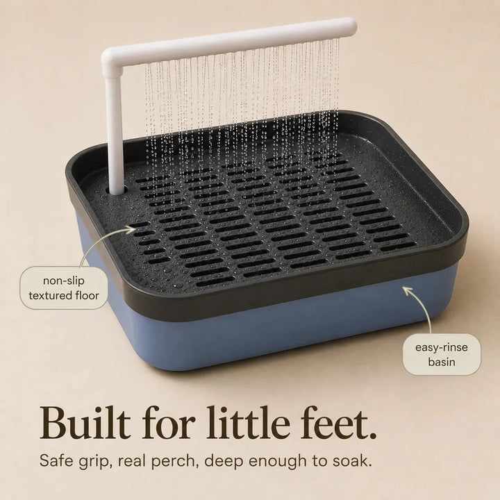 Pluvia – Electric Bird Bath with Rain Shower and Soaking Bowl