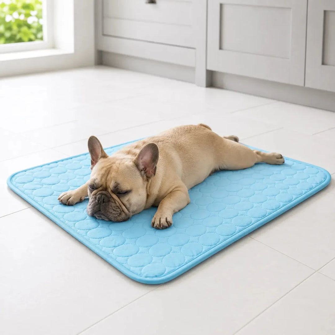 Coolabee – Cooling Mat for Dogs &amp; Cats, No-Freeze Washable Pet Pad