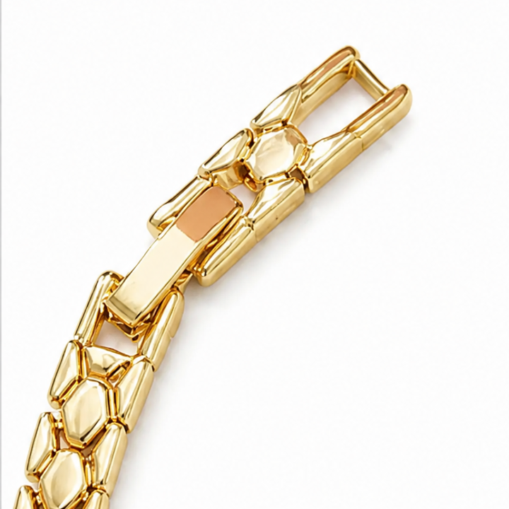 Scalé – Articulated Snake-Scale Link Bracelet