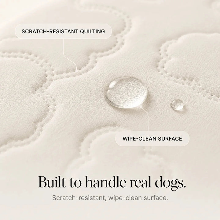 Coolava – Instant Cooling Pet Mat for Dogs and Cats, Scratch-Resistant