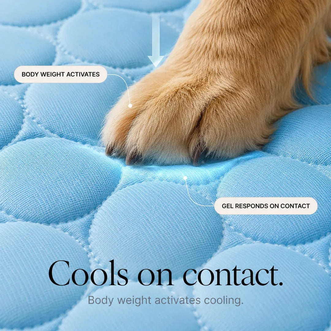 Coolabee – Cooling Mat for Dogs &amp; Cats, No-Freeze Washable Pet Pad