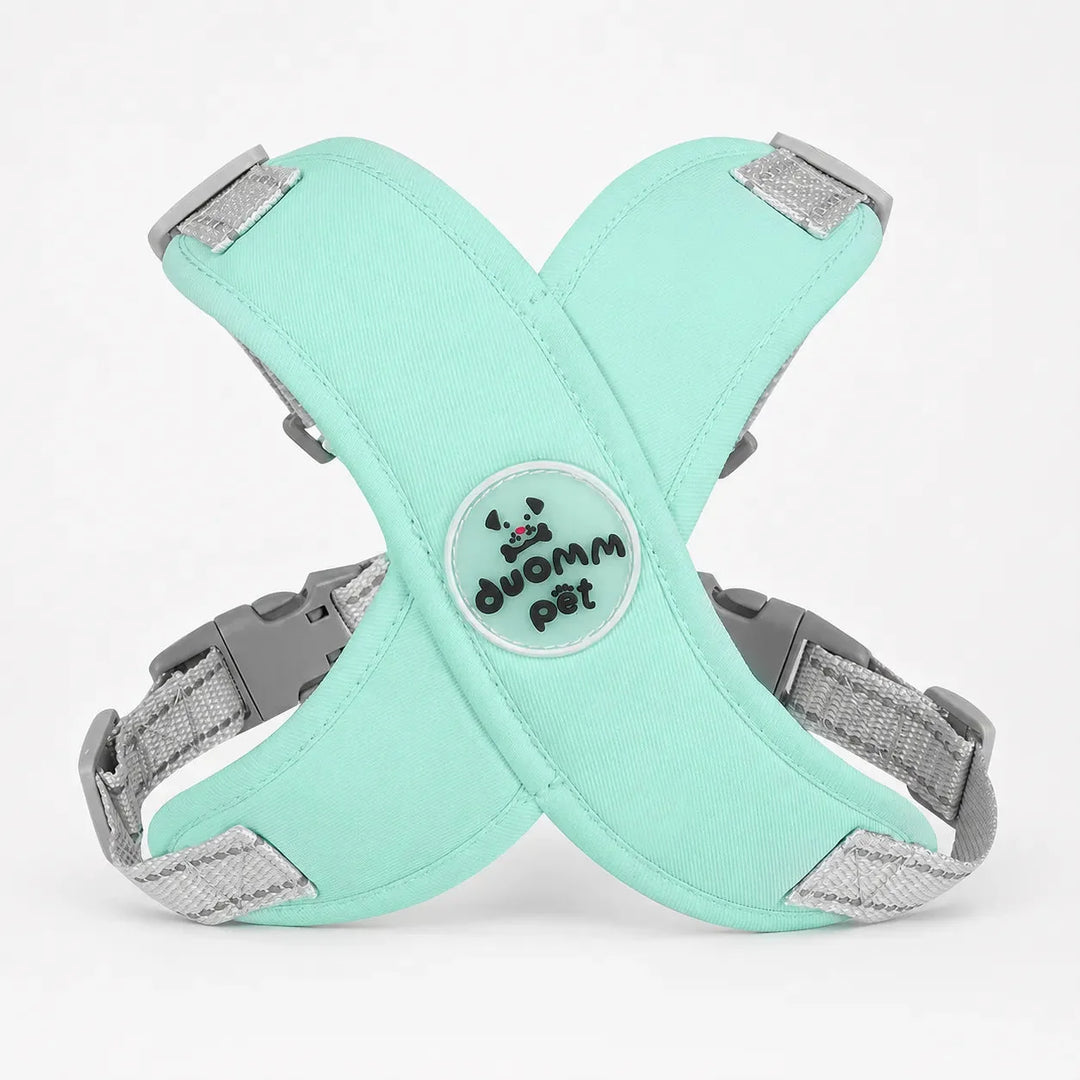 Pawlyn – X Frame No Pull Dog Harness and Leash Set for Small Breeds