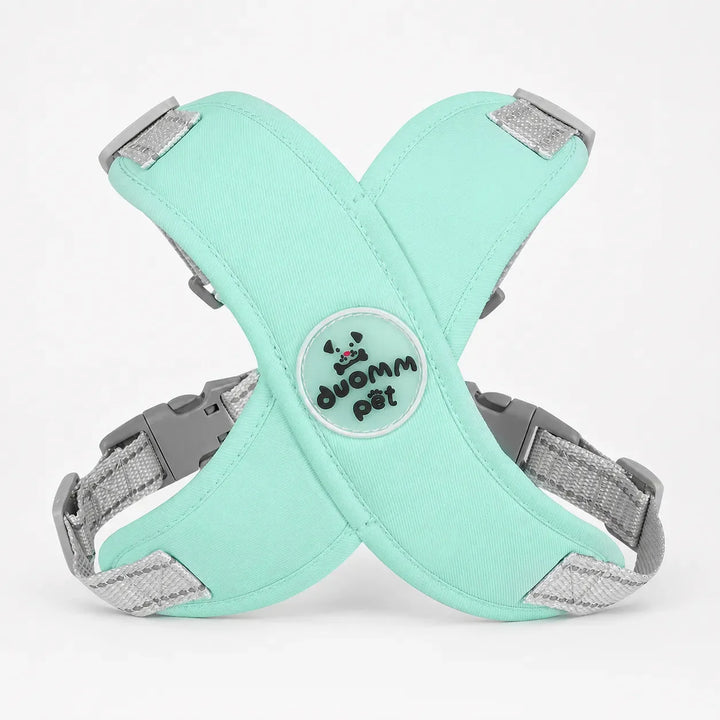 Pawlyn – X Frame No Pull Dog Harness and Leash Set for Small Breeds